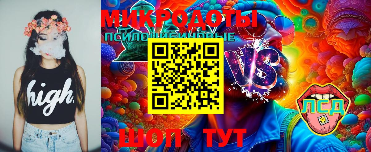 Псилоцибиновые грибы Psilocybe Борисоглебск